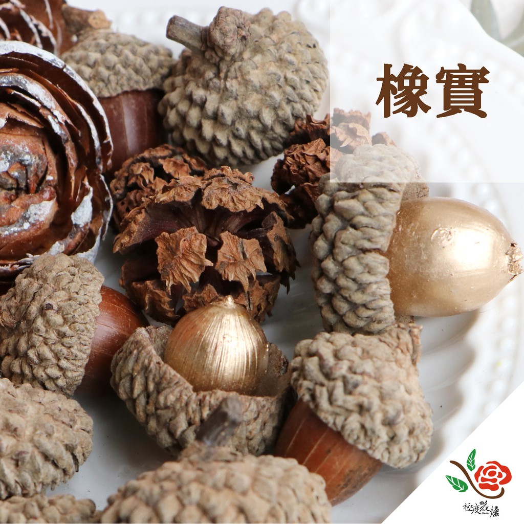 橡實果實的價格推薦 - 2021年8月| 比價比個夠BigGo