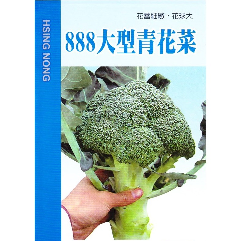 種子王國 888大型青花菜 【蔬果種子】興農牌 每包約1公克