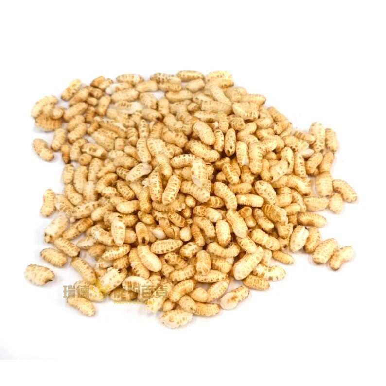 瑞德寵物百貨 糙米爆米花100g 分裝包 鸚鵡零食 小動物零食 可當訓練小點心 蝦皮購物