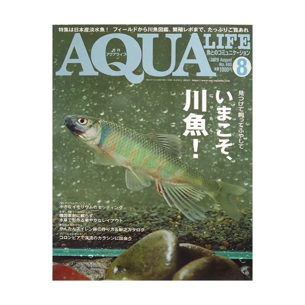 小郭水族 日本雜誌 Aqua Life 年8 9月號 蝦皮購物