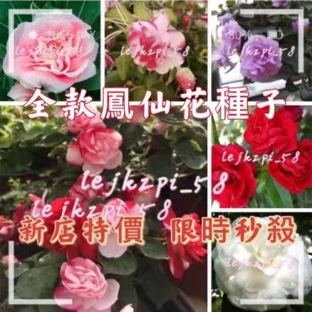高仿錶稀有七彩鳳仙花種子 壹元壹粒 四季播種易活 限時特價 I Position 優惠推薦 21年10月 蝦皮購物台灣