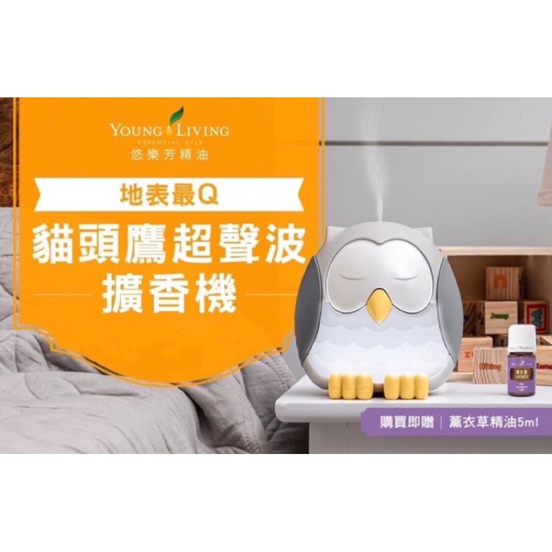 貓頭鷹造型 音樂🎵擴香機 香氛機 悠樂芳 Young Living［預購］