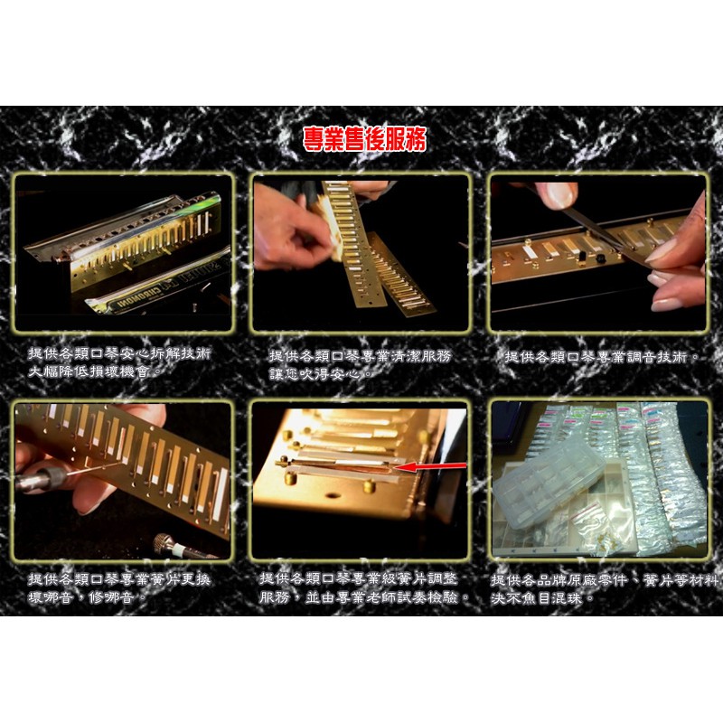音和樂器】日本蜻蜓牌Tombo Band 21孔普級複音口琴，塑膠琴身、有定位點C | 蝦皮購物