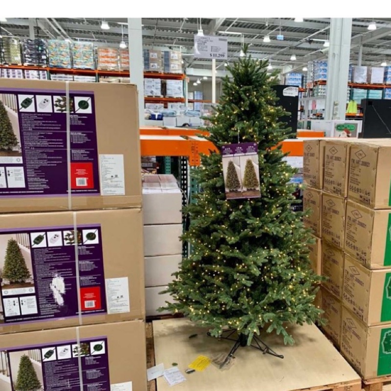 瑞比🐰 6.5呎LED聖誕樹（須自取）