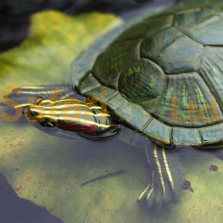 [美國Safari] 269529 巴西龜模型