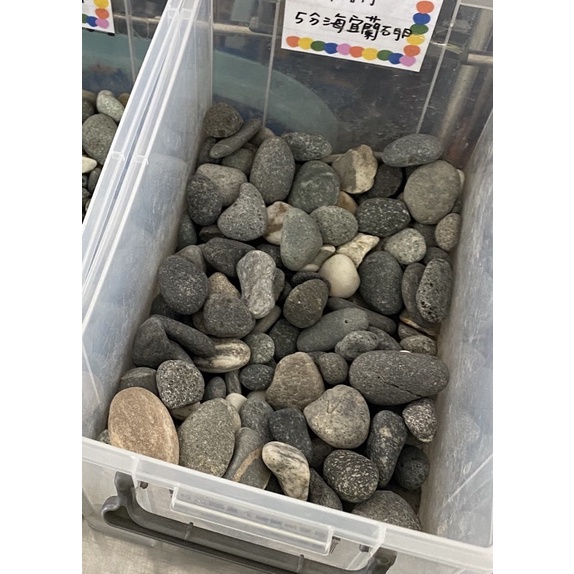 石材宜蘭石3分5分園藝園區水族 宜蘭石大磯石500克 1000克造景底砂底沙水草缸水草造景園藝盆栽鋪面石頭 蝦皮購物