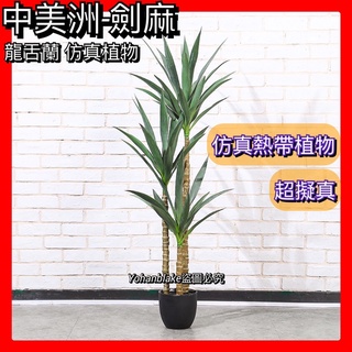 ❤️宅配免運費❤️假植物 模擬劍麻 盆栽 龍血樹 室內居家造景模擬綠植 盆栽 熱帶植物 龍舌皇冠蘭 假樹 假植物 盆景