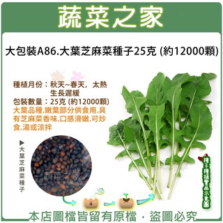 蔬菜之家滿額免運【00A86】大包裝.大葉芝麻菜種子25克 (約12000顆)(蔬菜種子.大葉品種.嫩葉部分供食用.