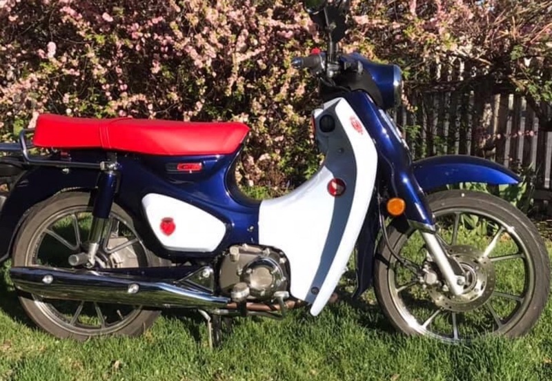 HONDA C125 專用直上 雙人座墊  紅色 双座 honda super cub c125