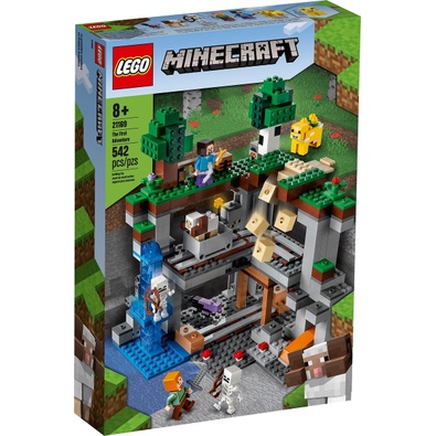 LEGO 21169 The First Adventure 麥塊Minecraft &lt;樂高林老師&gt;