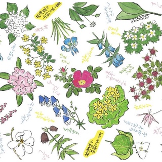 日本 六花亭自動鉛筆 送六花亭小禮物紙袋 蝦皮購物