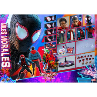 Image of 《瘋樂模玩》全新現貨 野獸國 Hot Toys MMS567 蜘蛛人:麥爾斯•莫拉雷斯 人氣商品