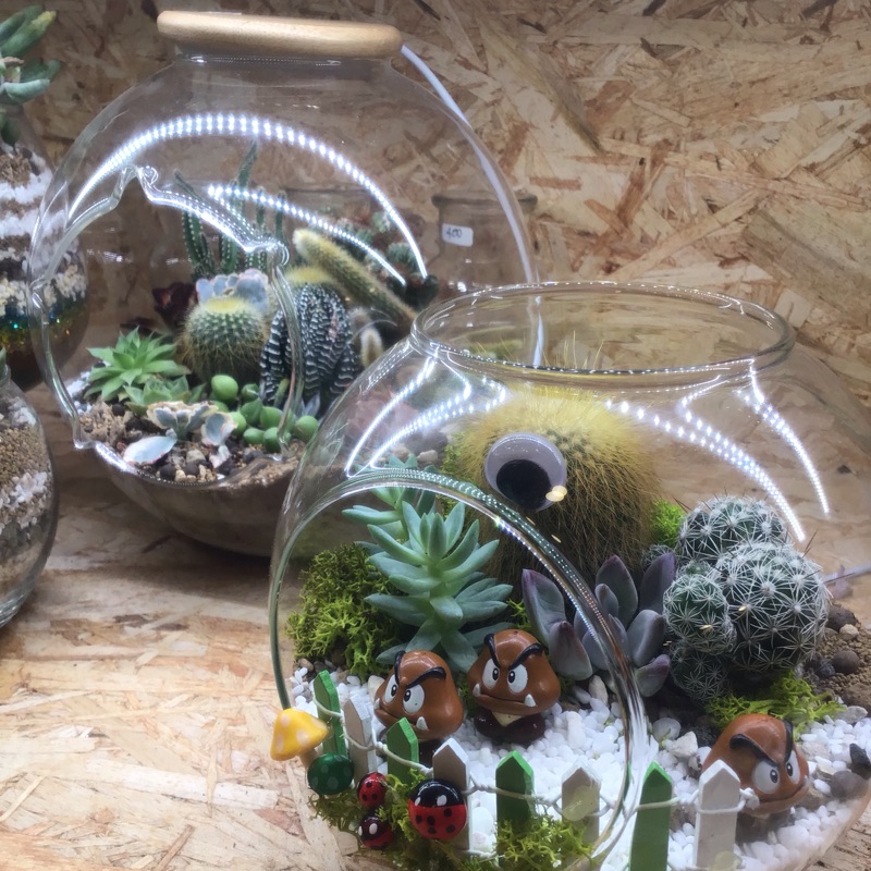 Led植物燈玻璃圓缸多肉組盆 蝦皮購物