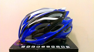 【二輪極速】BTR 頂級抗菌防蟲網內襯 超輕量 自行車 公路車 直排輪 飛輪 安全帽 臺灣製造 藍色