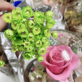 花開四月不凋花乾燥花小星花紫色 白色 藍色 粉紅色乾燥花花束 蝦皮購物