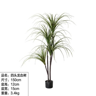 仿真花仿真植物綠植裝飾仿真綠植鐵樹北歐ins風大型網紅假盆栽落地裝飾室內造景全館免運價格下殺 蝦皮購物