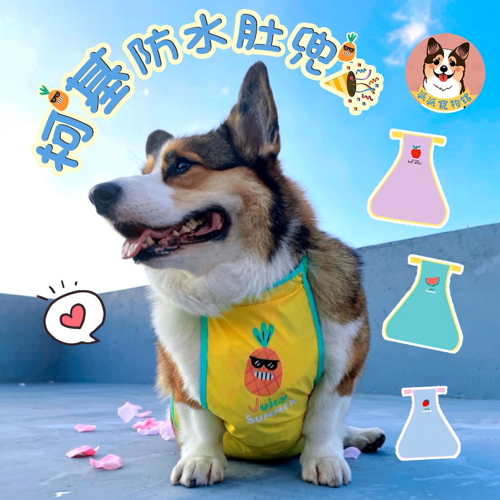 中型犬衣服 優惠推薦 寵物21年10月 蝦皮購物台灣
