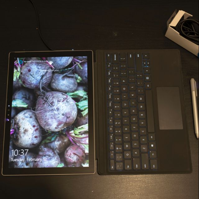 Surface Pro 4 -256G I5 8G 手寫筆 2個電源線 鍵盤