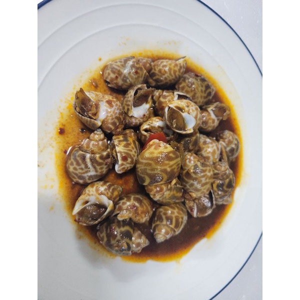 板橋阿禧鮮魚辣炒鳳螺 蝦皮購物