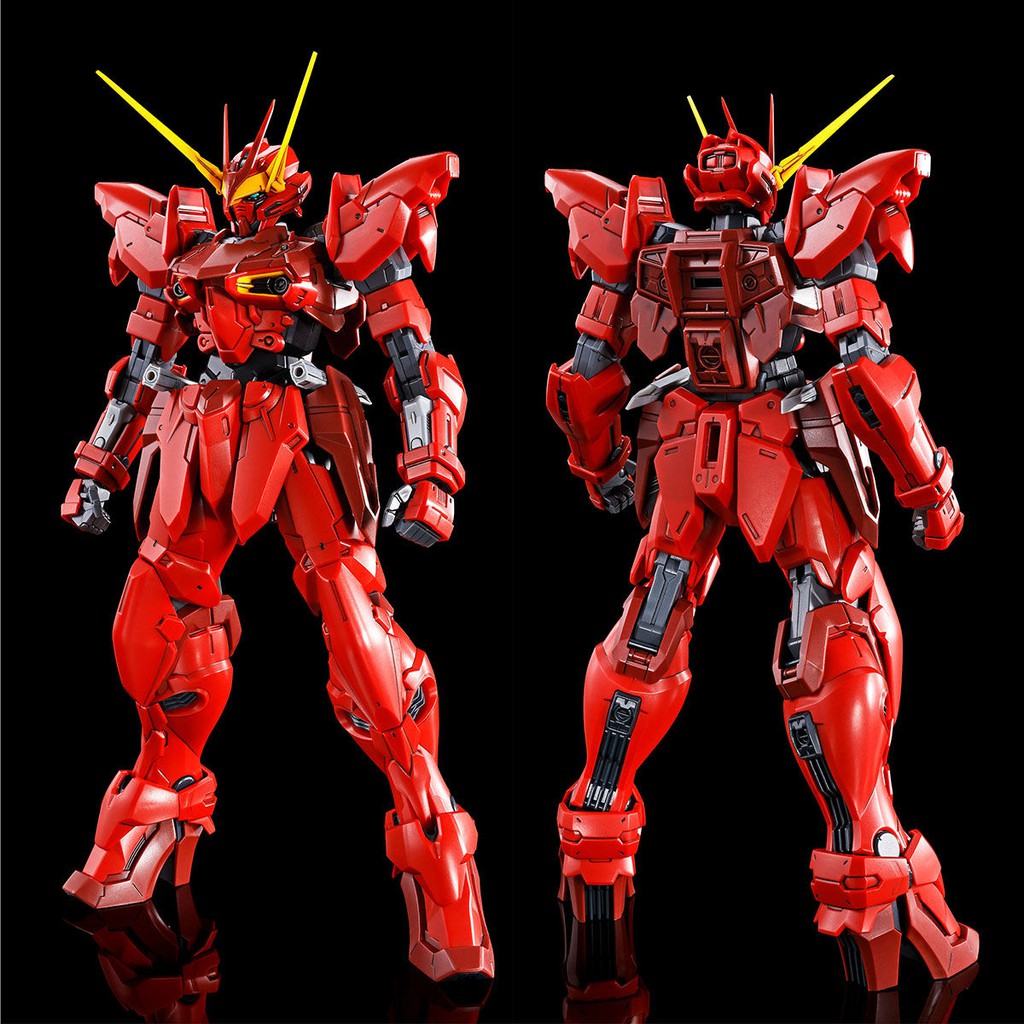 61現貨 PB MG 1/100 聖約鋼彈 TESTAMENT GUNDAM 紅異端 SEED 鋼彈 聖約 萬代