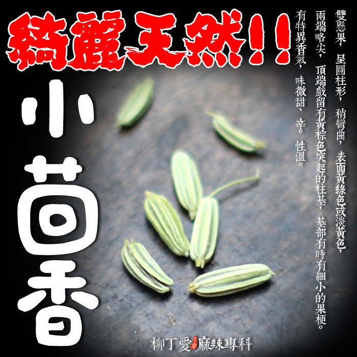 柳丁愛 小茴香100g【A165】乾貨
