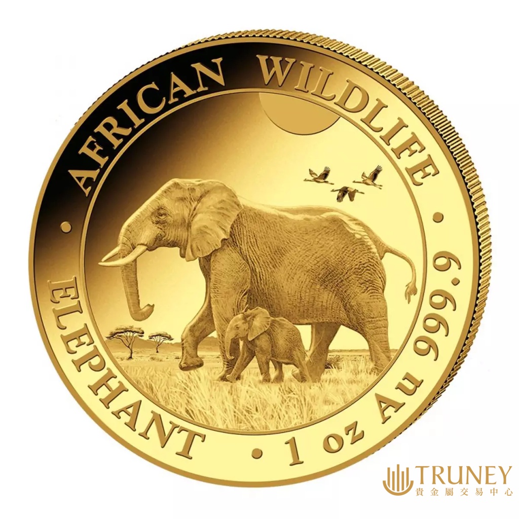 【TRUNEY貴金屬】2022索馬利亞非洲象金幣1盎司 / 約 8.294台錢