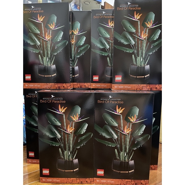 Lego 樂高102 全新未拆bird Of Paradise 天堂鳥花盆盆栽現貨 蝦皮購物