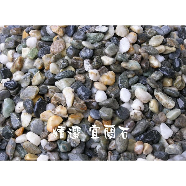 大磯砂 優惠推薦 年10月 蝦皮購物台灣
