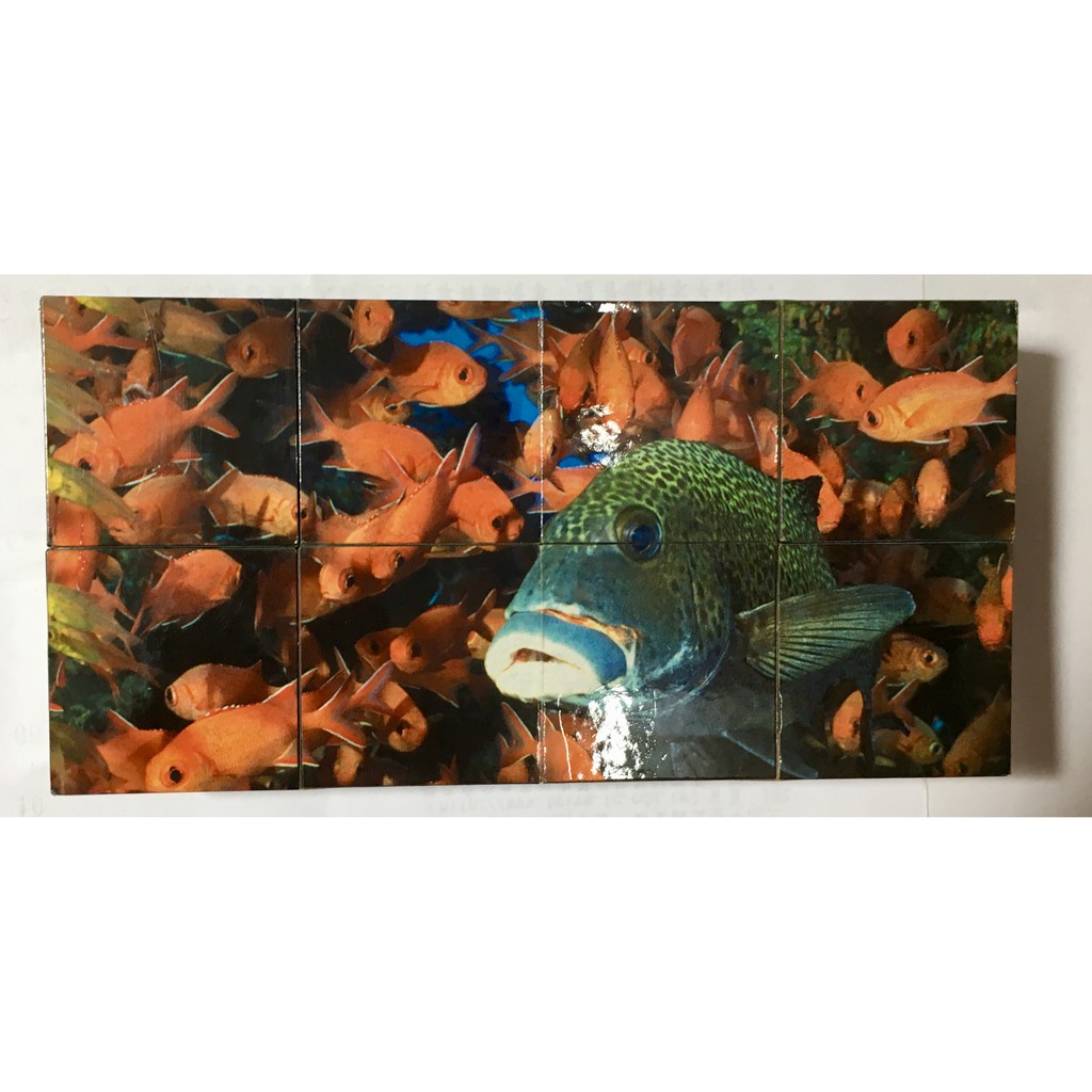 海生館 紀念品 海龜 海洋生物 方塊 (二手)