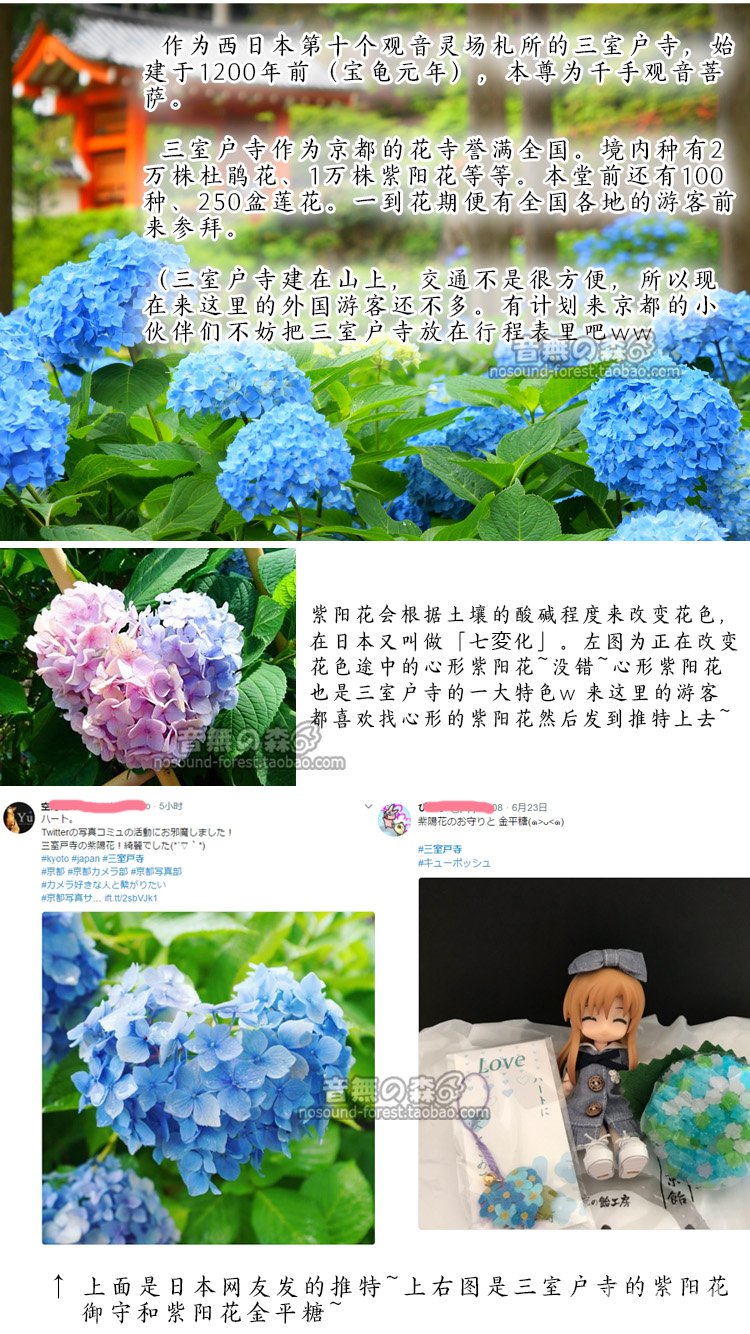 日代 國內現貨日本京都宇治三室戶寺西國紫陽花聖地紫陽花掛件御守 蝦皮購物
