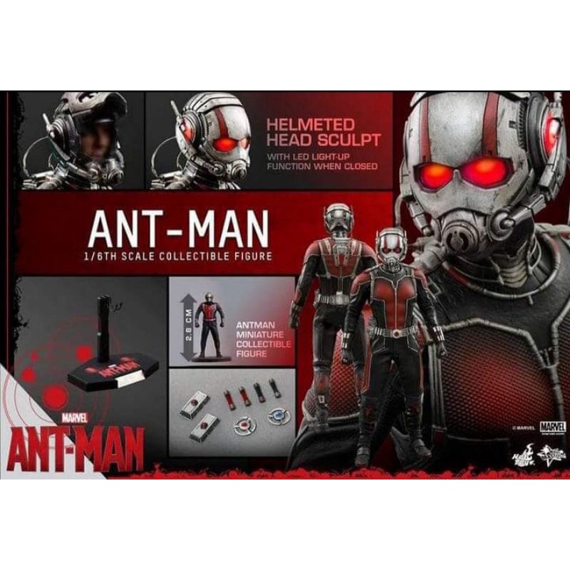 野獸國 Hot Toys MMS308 漫威 復仇者聯盟 Ant Man 蟻人 非 MMS362 MMS497