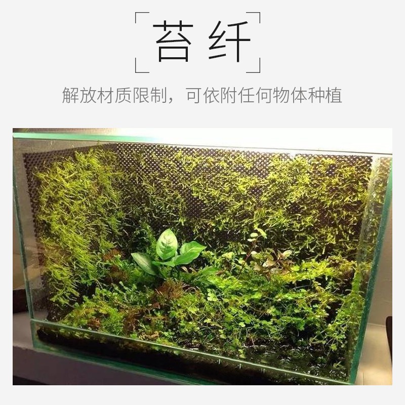 Yykbc711 三明治網布雨林水陸缸植物苔蘚附生棉沉木苔纖植纖生態棉保濕透氣 蝦皮購物