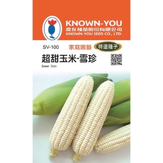 《農友種苗》特選蔬果種子 SV-100超甜玉米-雪珍