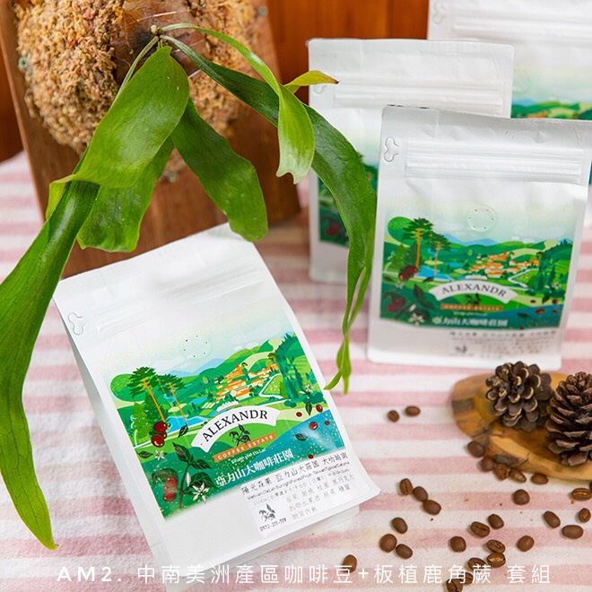 蕨啡偶然 Am2.精選中南美洲產區咖啡豆半磅3入 贈 板植鹿角蕨(銀葉鹿角蕨)1板 (套組)【亞力山大咖啡莊園】
