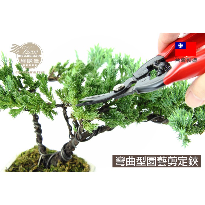 歐in 剪定鋏花剪樹枝剪採果鋏園藝花卉修剪園藝盆栽採果剪台灣製 蝦皮購物