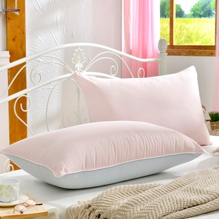 【枕頭-任2件$1199】La Belle 天然抑菌 咖啡枕 除臭 45x75cm 雙色 枕頭 格蕾寢飾