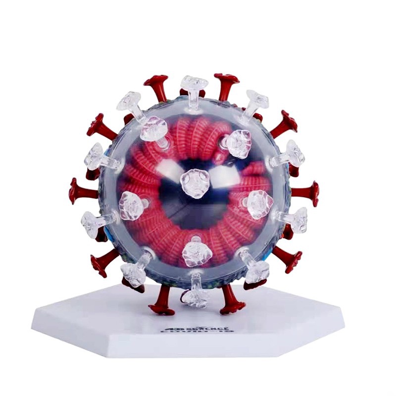 4D Master 益智拼裝玩具 新冠病毒模型 冠狀病毒解剖模型 医学教學DIY科学用具