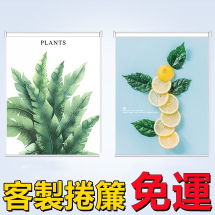 🍀植物捲簾 廚房捲簾 防水捲簾 衛生間捲簾 臥室捲簾 辦公室捲簾 防油捲簾 防曬捲簾 遮光捲簾隔熱捲簾