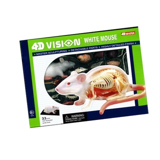 4D MASTER Vison模型/ 半透視白老鼠/ 26002 eslite誠品