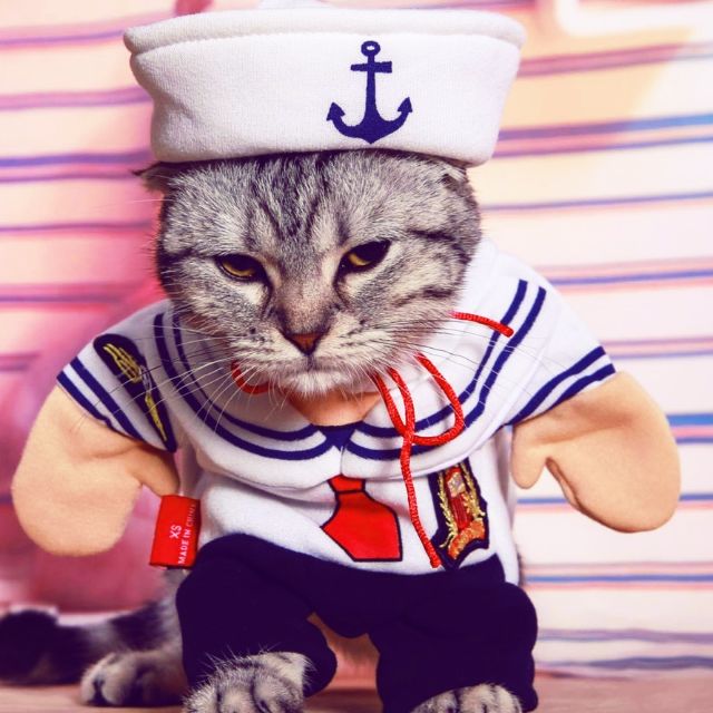 水手服  站立裝   冬裝 寵物衣 海軍裝