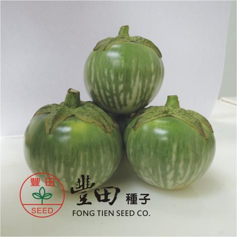 【萌田種子~】L41 綠如意圓茄種子0.15公克 , 顏色綠白相間 , 果型小巧討喜 , 每包16元~