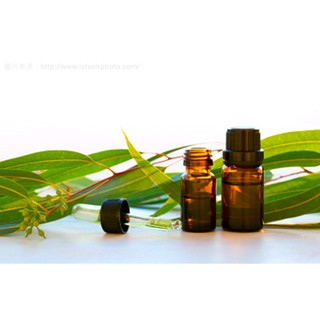 【澳洲ND藍膠尤加利精油】100ml NEW DIRECTIONS澳洲純精油精油原裝分裝薰香擴香DIY