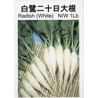 蔬菜種子s321 白長二十日大根 速成的可愛小蘿蔔品種 特別推薦 蝦皮購物