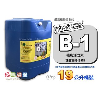 『現貨免運』施達活力素B1 植物活力素 維生素B群 5加侖桶 專業級農場指定 植株衰落 移植恢復活力 扦插存活率 水苔浸