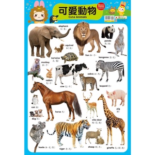 幼福文化 忍者兔學習掛圖 可愛動物 9206-3 動物海報 幼兒園海報 教室佈置海報 動物掛圖