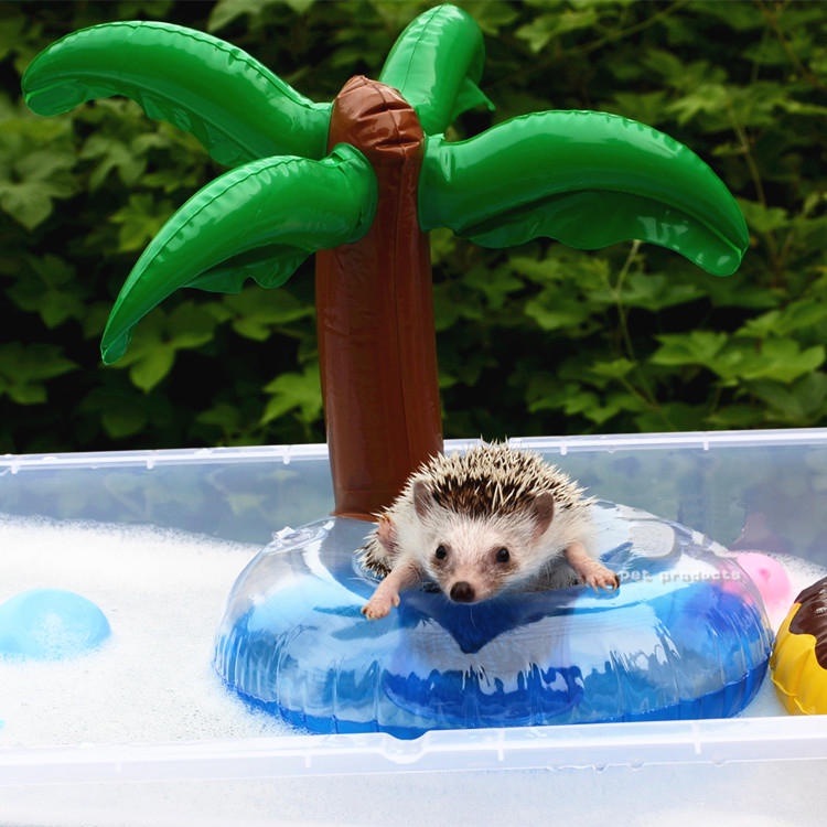 肥肥鼠 刺蝟/倉鼠 小動物玩具 游泳圈 洗澡圈 1入 (可愛椰樹)
