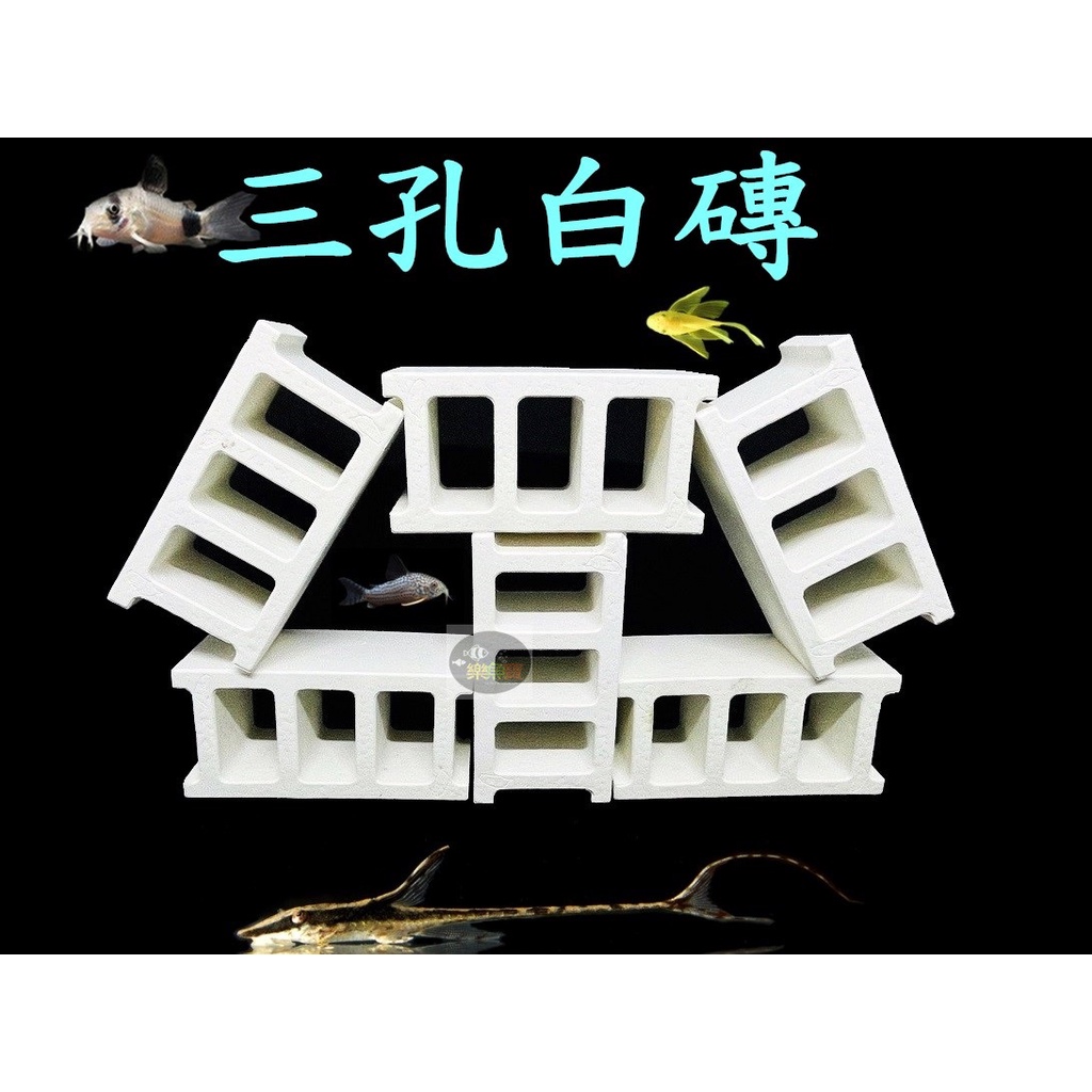 【樂魚寶】三孔白磚 陶瓷甕磚 小白宮 異型 鼠魚 底棲觀賞魚 躲藏 躲藏 (一個)