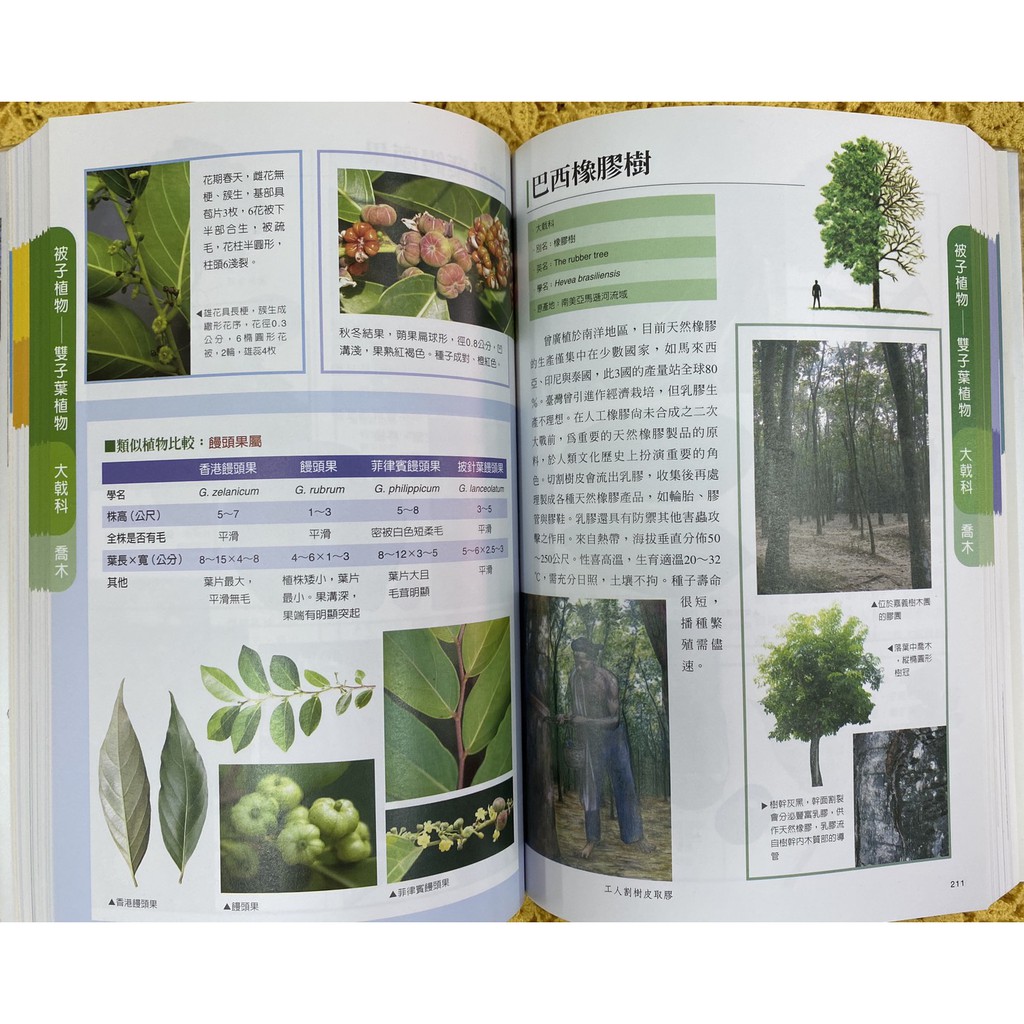 今日全新限量特價5折景觀樹木觀賞圖鑑晨星章錦瑜 蝦皮購物