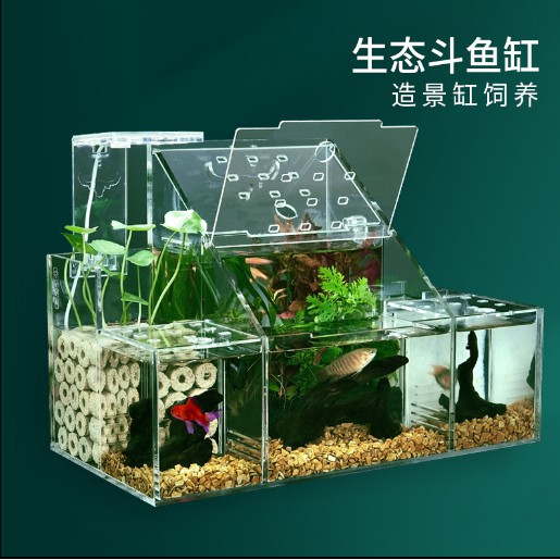 魚缸 鬥魚排缸 亞克力魚缸 孔雀魚繁殖孵化專用隔離盒迴圈水過濾創意桌面鬥魚排缸 放任購精品 蝦皮購物