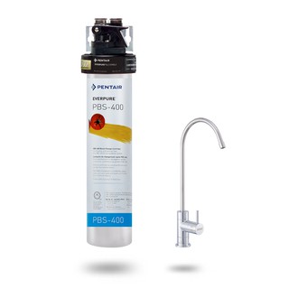 愛惠浦 除鉛碳纖維長效型淨水器 PurVive-PBS400 (大巨光)